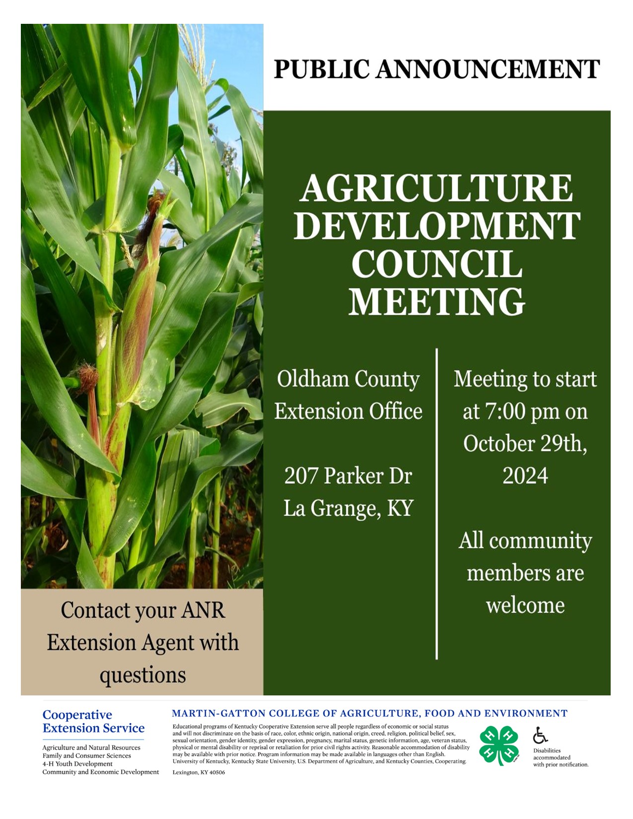 Corn stalk with green and brown background flyer