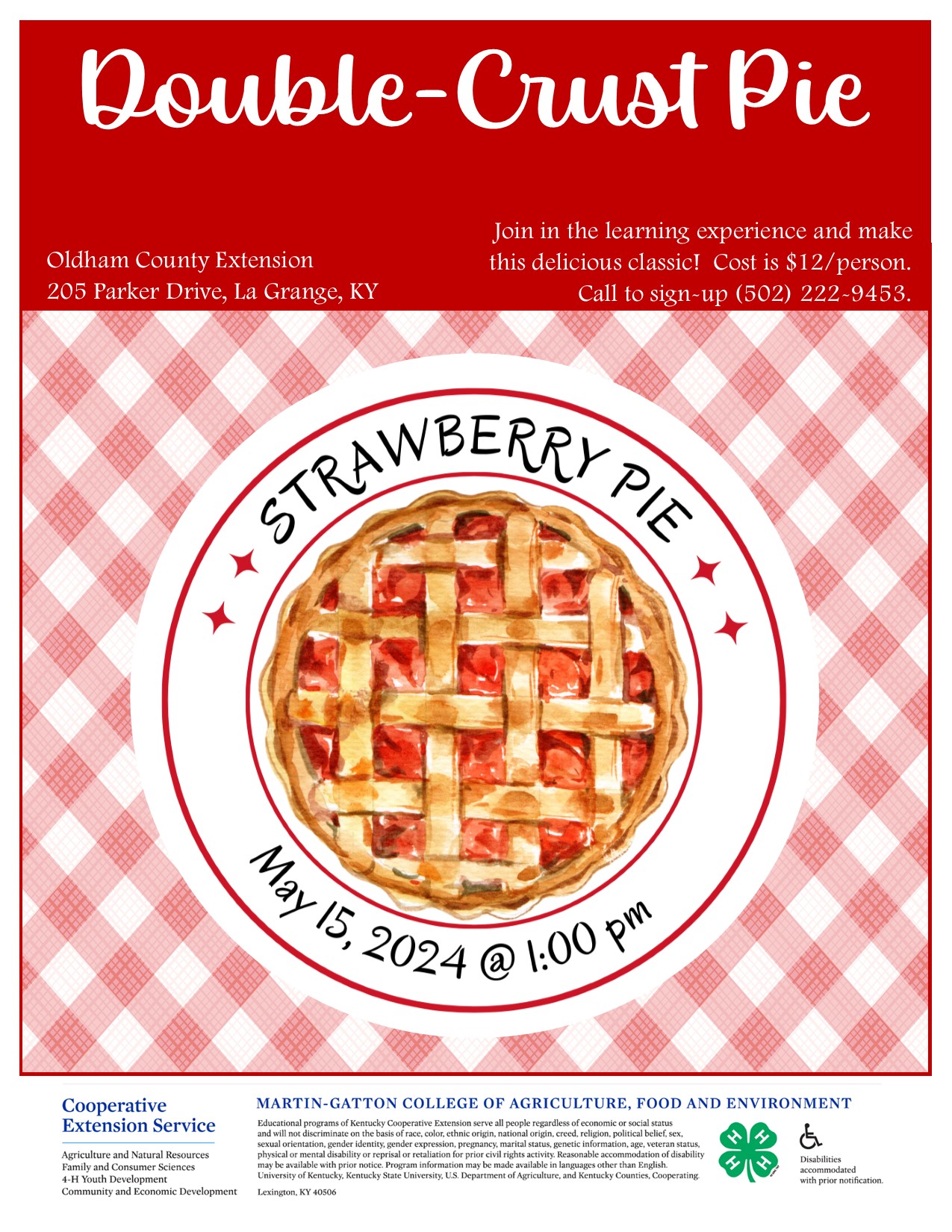 Strawberry pie with red gingham background