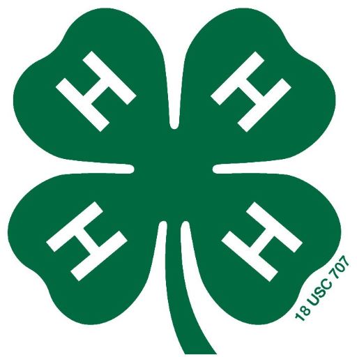 4-H green clover logo