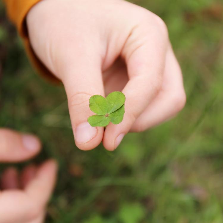  fingers holding a 4-leaf clover